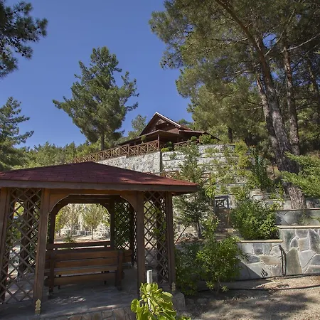 Alpstuga Ricky Near Troodos