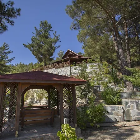 Chalet Ricky Near Troodos