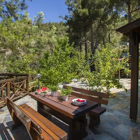 Chalet Ricky Near Troodos Spilia
