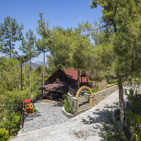 Ricky Near Troodos Chalet Spilia