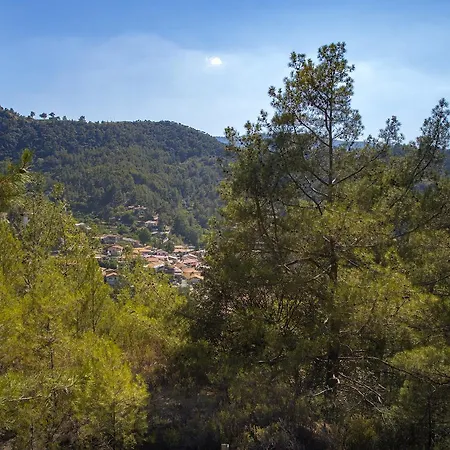 Ricky Near Troodos * Spilia