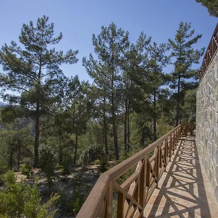 Ricky Near Troodos Chalet