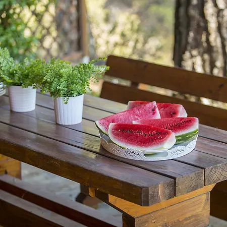 Ricky Near Troodos Spilia