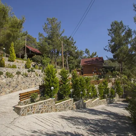 Ricky Near Troodos Chalet
