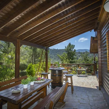 Ricky Near Troodos Chalet Spilia