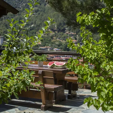 Ricky Near Troodos *