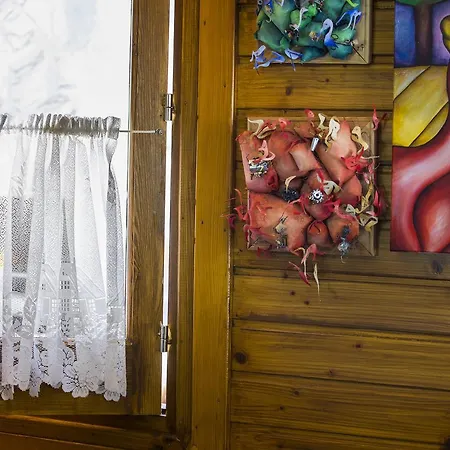 Ricky Near Troodos Chalet