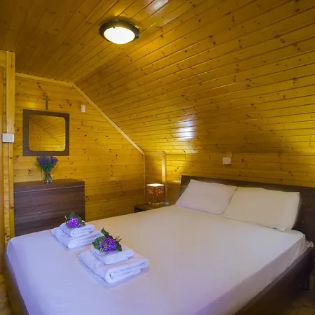 Ricky Near Troodos Chalet Spilia