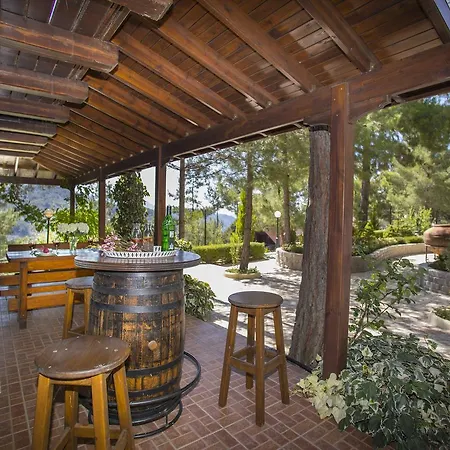 Chalet Ricky Near Troodos Spilia