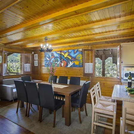 Ricky Near Troodos Chalet *