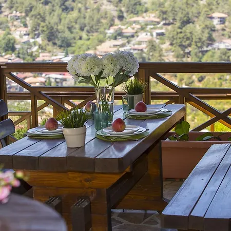 Ricky Near Troodos *