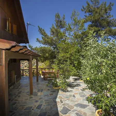 Ricky Near Troodos Chalet