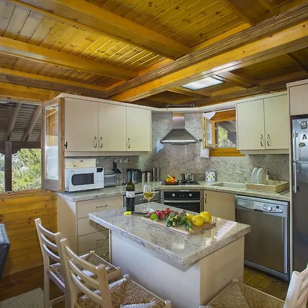 Ricky Near Troodos Chalet Spilia