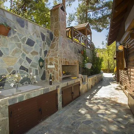 Ricky Near Troodos *