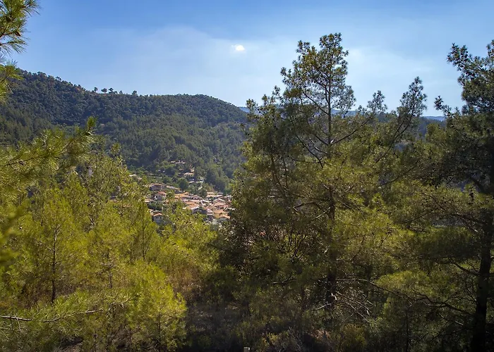 Ricky Near Troodos * Spilia