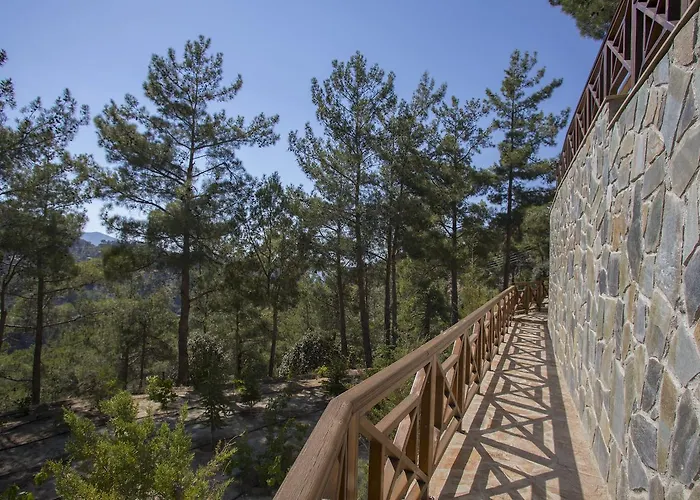 Ricky Near Troodos בקתה