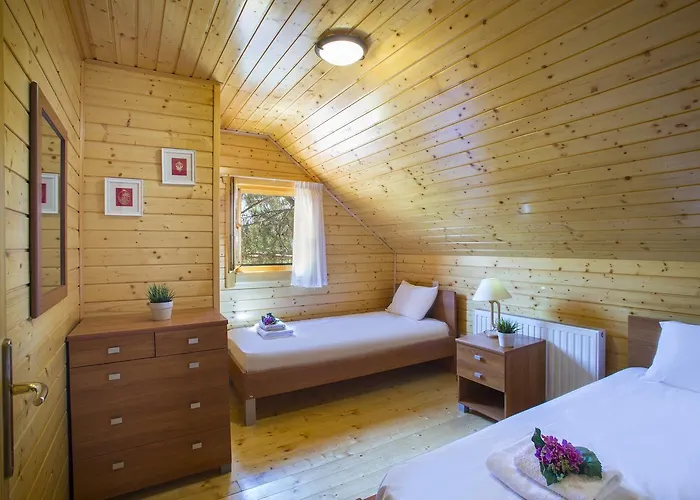 Ricky Near Troodos בקתה *