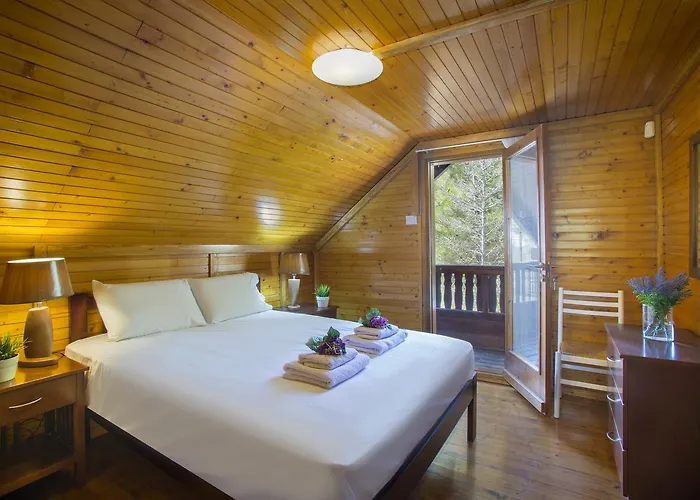 Ricky Near Troodos בקתה *