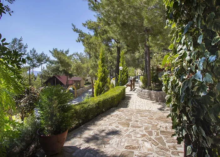 Ricky Near Troodos בקתה