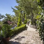 Ricky Near Troodos Alpehytte