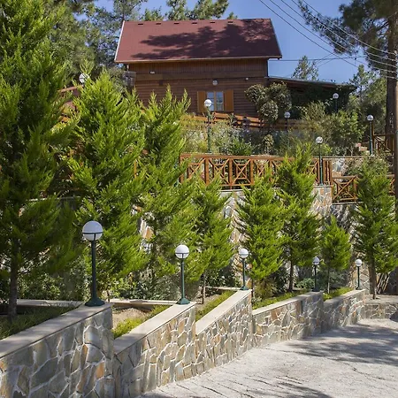 Ricky Near Troodos *