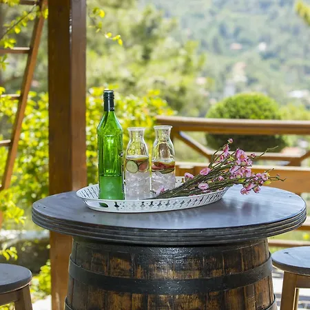 Chalet Ricky Near Troodos