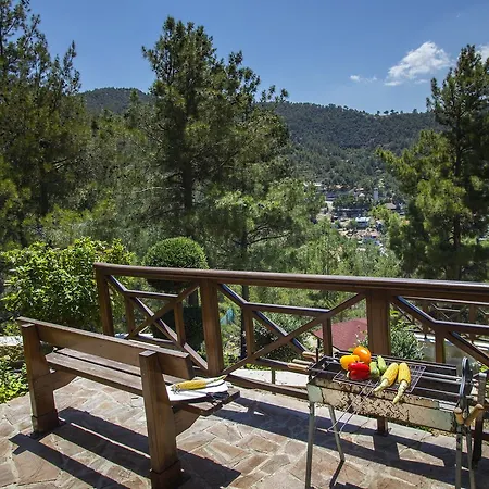 Ricky Near Troodos Spilia