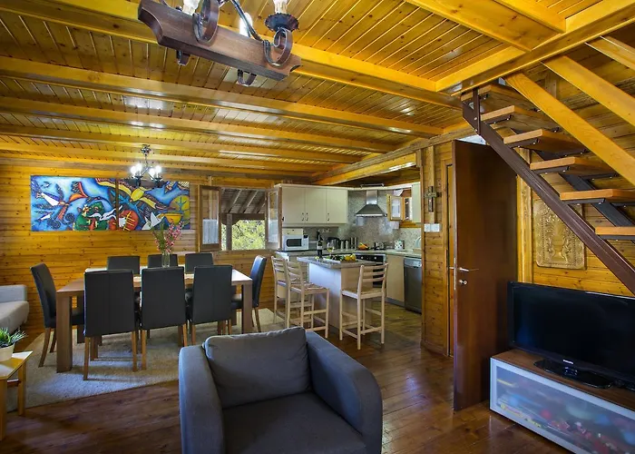 Ricky Near Troodos シャレー Spilia