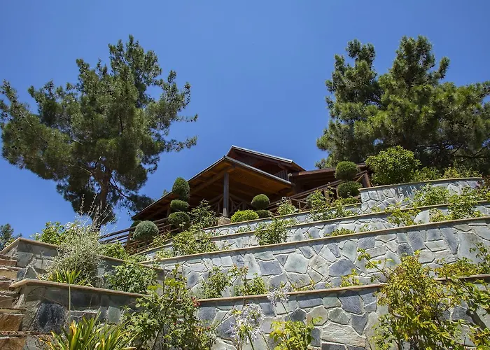 シャレー Ricky Near Troodos