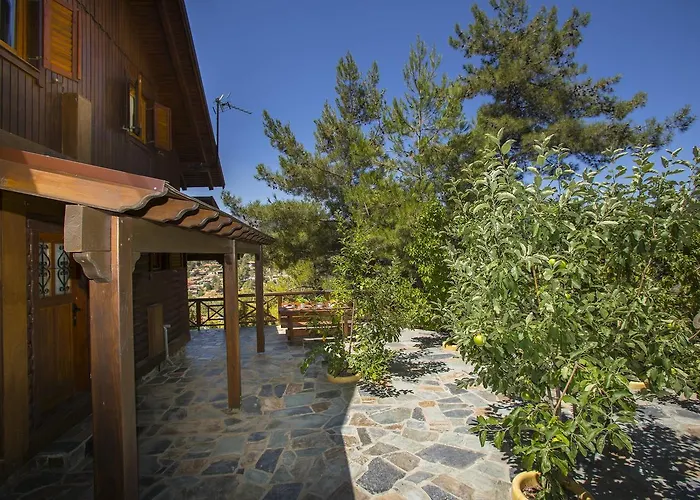 Ricky Near Troodos シャレー