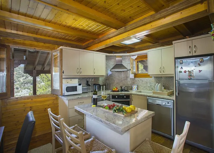 Ricky Near Troodos シャレー Spilia