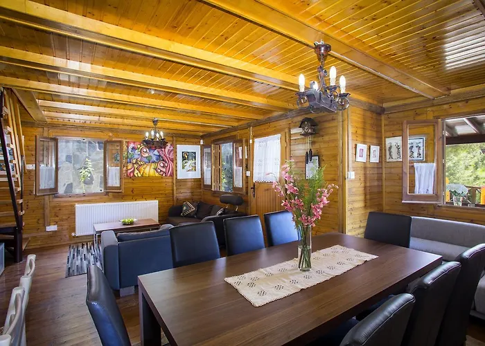 Ricky Near Troodos * Spilia